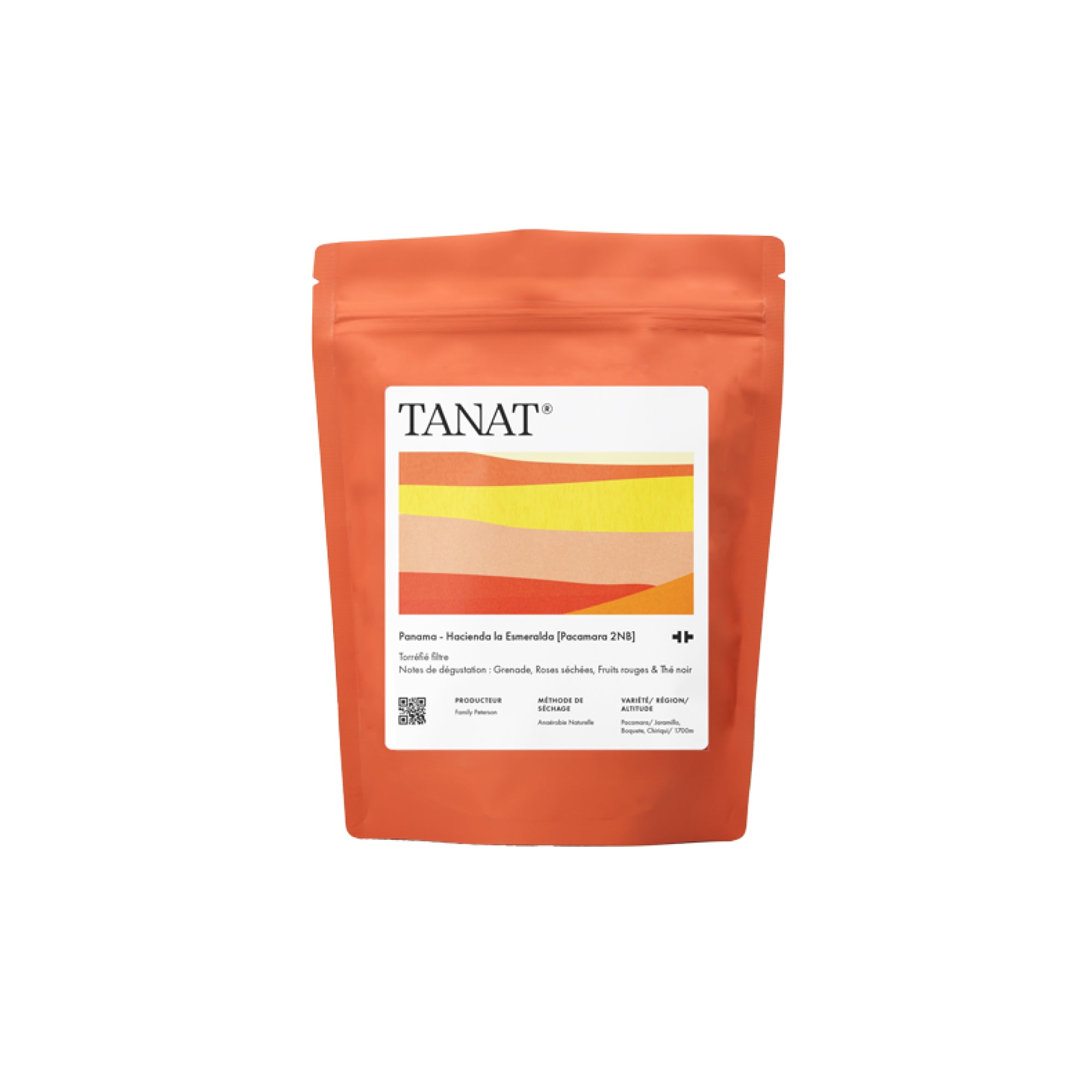 Hacienda la Esmeralda : Pacamara 2NB