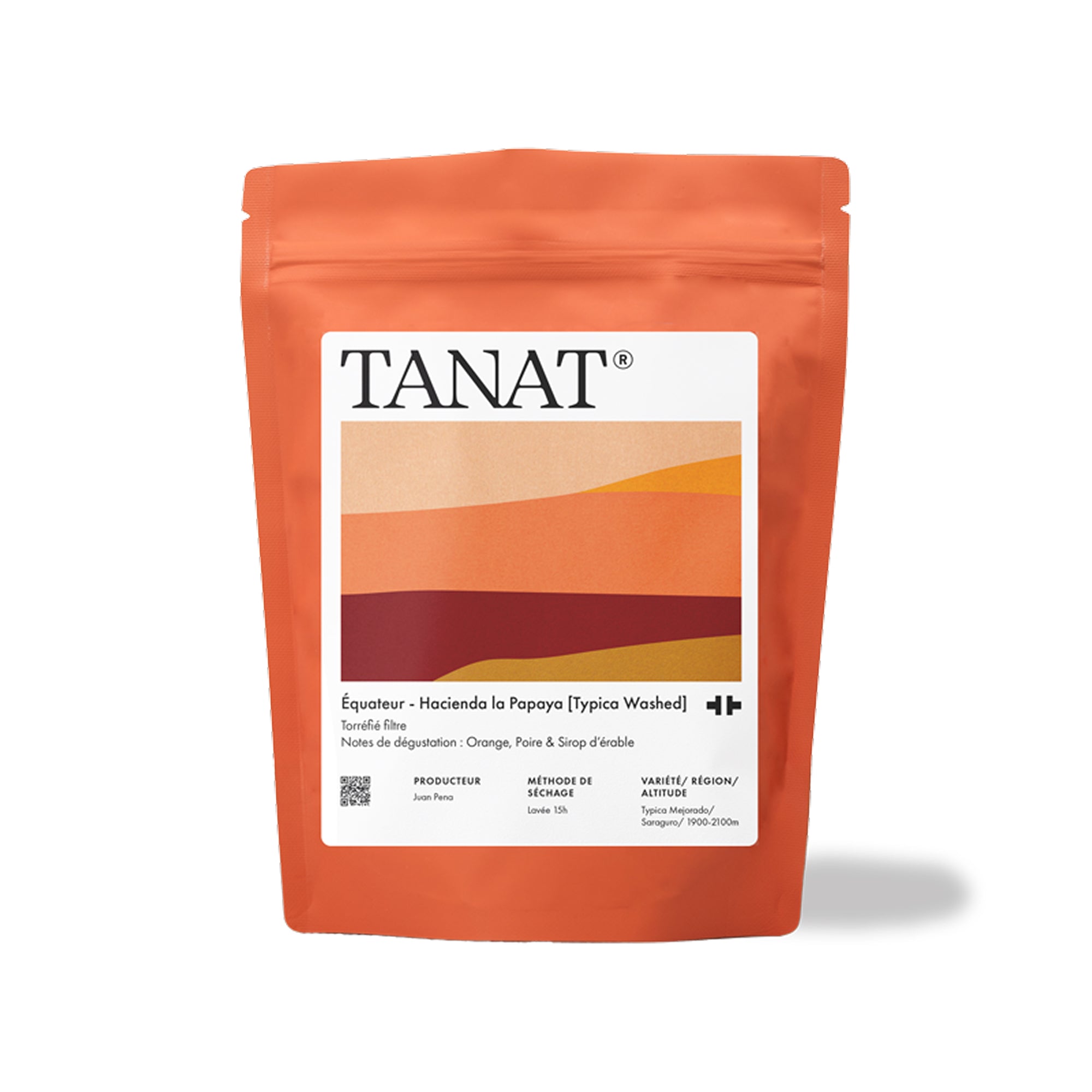 Hacienda la Papaya : Typica Washed